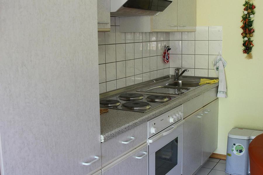 Apartment Baden Baden Haus Am Ibachweg Zewnętrze zdjęcie