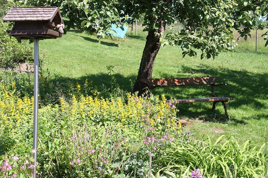 Apartment Baden Baden Haus Am Ibachweg Zewnętrze zdjęcie