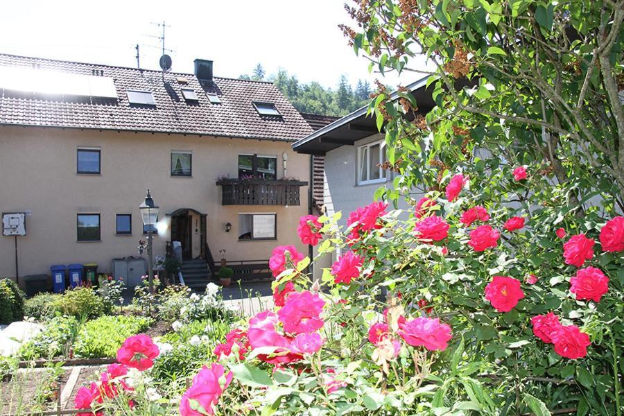 Apartment Baden Baden Haus Am Ibachweg Zewnętrze zdjęcie
